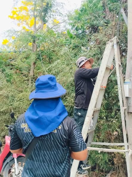ดำเนินการปรับภูมิทัศน์ กวาดทำความสะอาด ตัดหญ้า ใบไม้ เก็บเศษวัดุและซ่อมแซมพื้นลานปูนที่ชำรุด